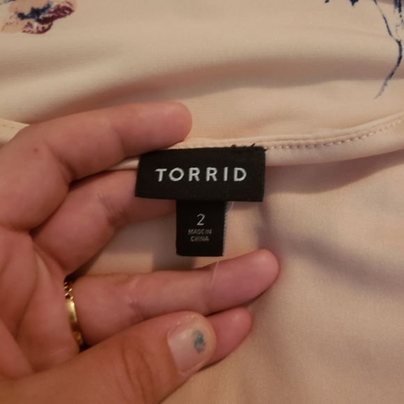 Torrid Blush Dress - Picture 3 of 12
